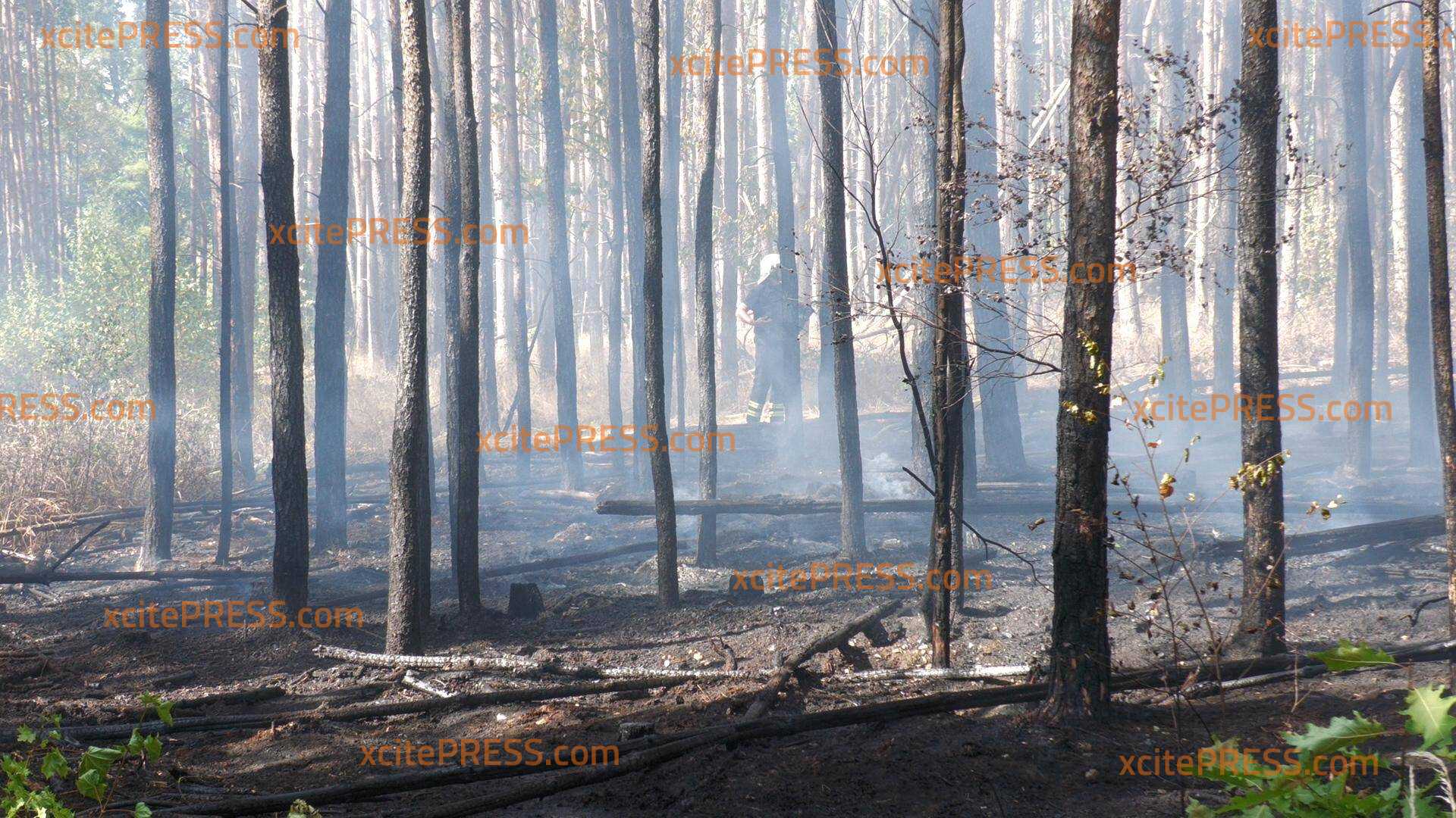 Weiterhin steigende Zahl von Waldbränden: Wetter lässt immer noch keine Entspannung der Lage zu