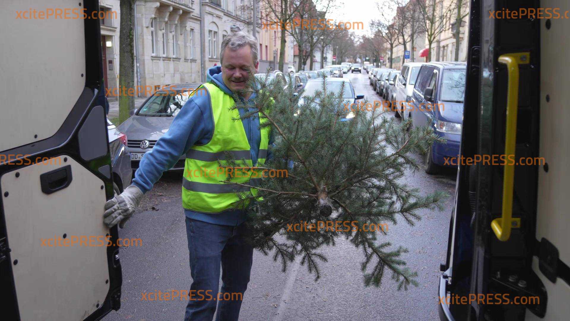 Alter Baum raus und damit den Zootieren eine Freude machen? Tierisch schöne Weihnachtsbaum-Aktion sammelt für den guten Zweck: Elefanten, Giraffen und Goldtakins sind begeistert von ihrem verspäteten Weihnachtsgeschenk