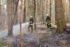 Waldbrände in Kamenzer Forst: Feuerwehr kann die Flammen schnell löschen