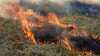 Waldbrand-Sorge bei der Feuerwehr! Groß angelegte Übung in Sachsen und Experiment: Wie schnell kann eine weggeworfene Zigarette einen Waldbrand entfachen? Innerhalb weniger Sekunden brennt es lichterloh... Feuerwehrsprecher gibt ausführliche Tipps zur Verhinderung von Waldbränden, beschreibt das Experiment und die Vorbereitungen der Kameraden für den Sommer: Erst vor wenigen Tagen brannte es in einem Waldstück bei Oberlichtenau in Sachsen, beim Dreh entdeckt der Feuerwehr-Sprecher plötzlich ein weiteres qualmendes Glutnest: "Das macht es so kompliziert. Auch nach Tagen können Flammen wieder auflodern. Ich muss jetzt die Kollegen verständigen."