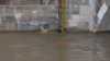Hochwasser-Alarmstufe 3: Pegel der Elbe steigt kontinuierlich an und soll bis morgen noch weiter ansteigen! 6 Meter werden voraussichtlich heute erreicht, Dresden versucht sich vor den Wassermassen zu schützen : Personen laufen durch das Hochwasser: aktuelle Schnittbilder und Vox-Pops vom Donnerstagvormittag