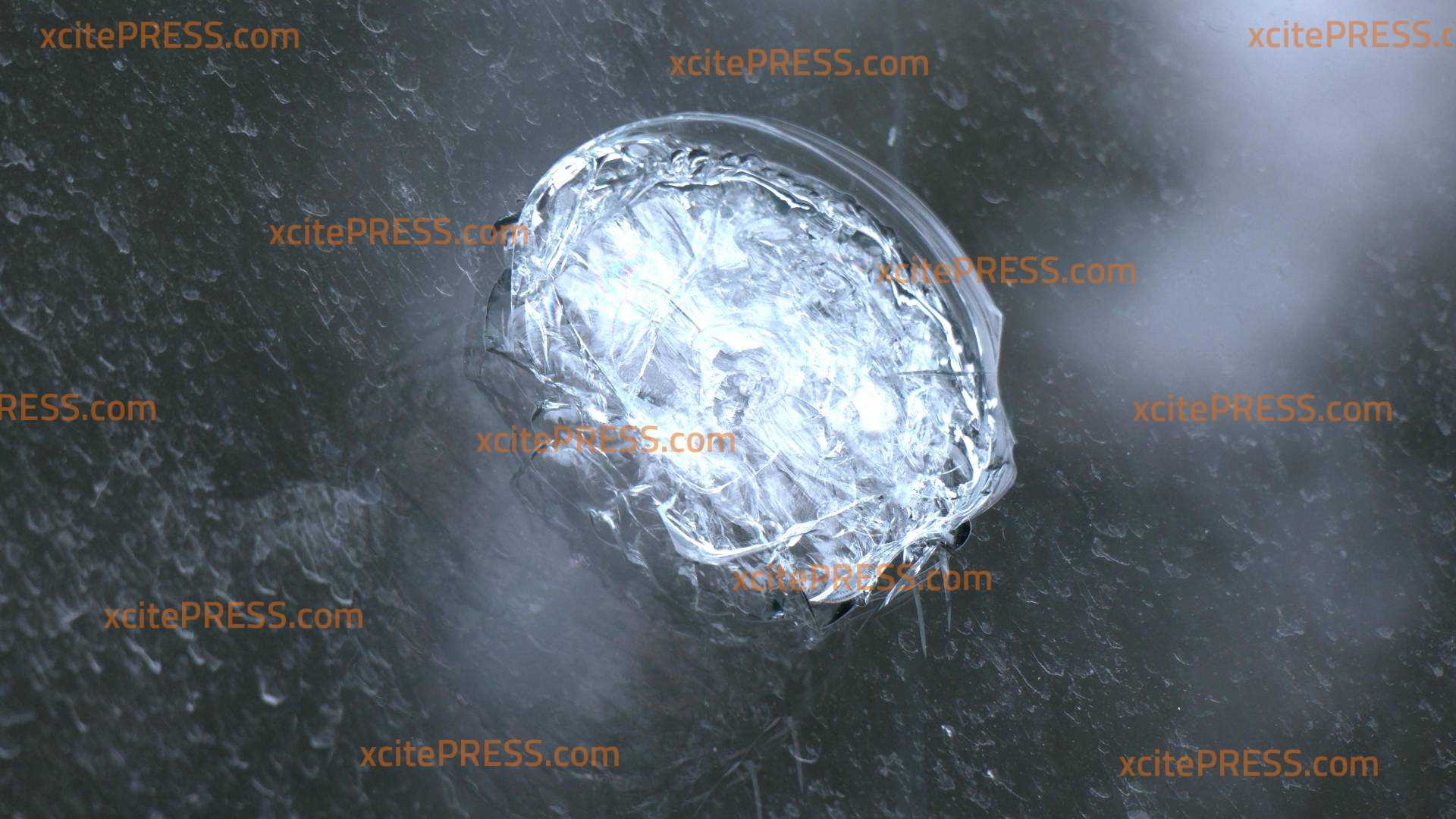 Mit Metallstange Grünen-Büro angegriffen - Staatsschutz ermittelt: Gesichter aus Plakaten geschnitten - unzählige Plakate heruntergerissen und verunstaltet, Grüne und AfD am stärksten betroffen: aufgeheizter Landtagswahlkampf im Osten