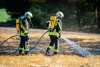 Aktue Gefahr vor Wald- und Feldbränden: Feuerwehr zündet Feld an, um Ernstfall zu proben