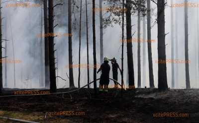 Spremberg - Erster großer Waldbrand beschäftigt die Feuerwehr : Rauchentwicklung war mehrere Kilometer sichtbar