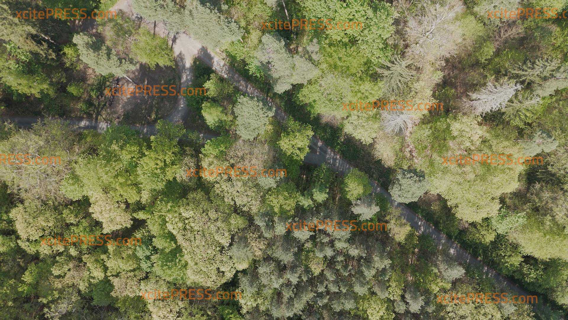 Waldbrandsaison 