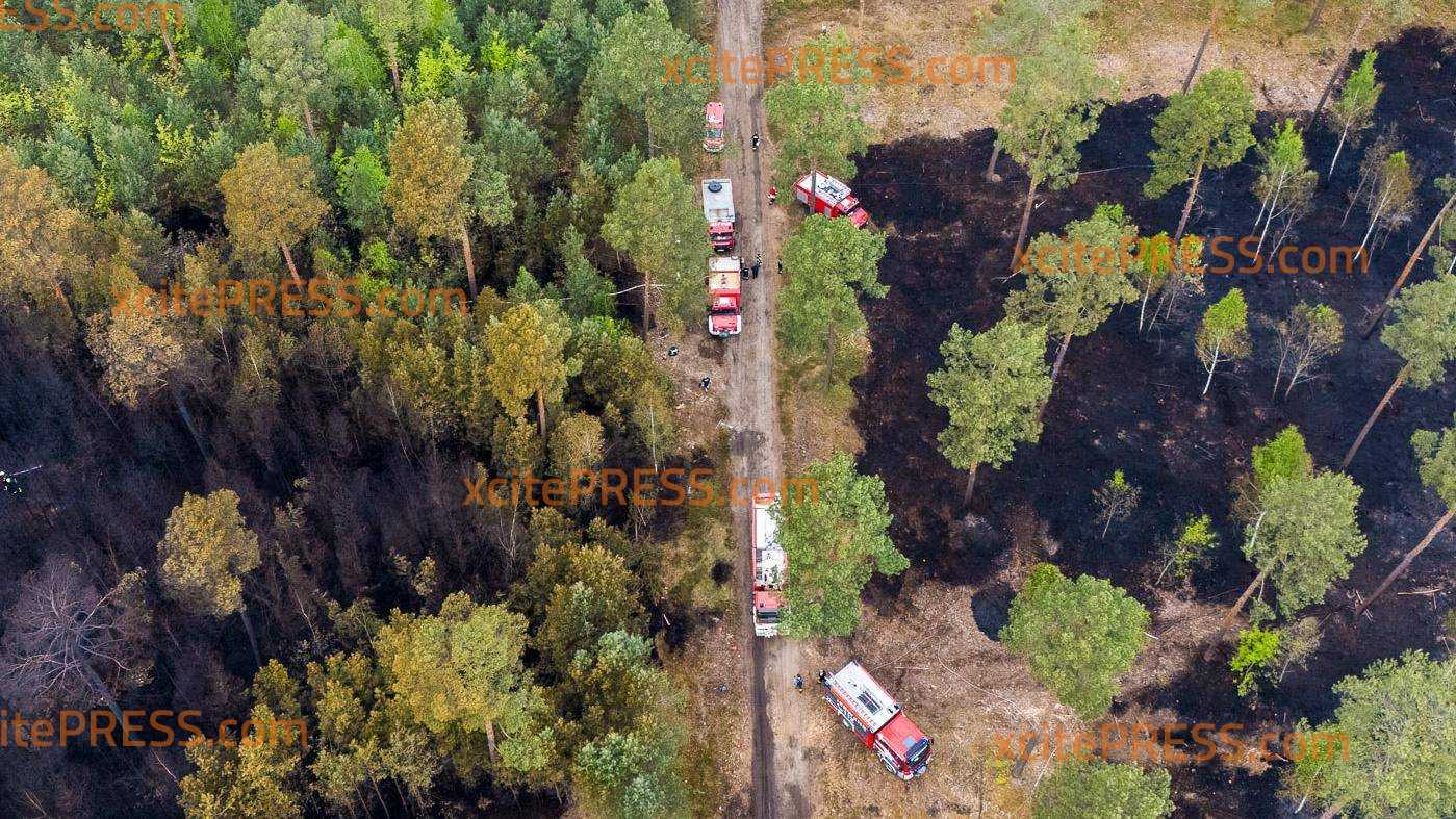 Wald in Flammen: Großeinsatz bei Preschen – Feuerwehr im Dauereinsatz gegen die Gluthitze: Waldbrand an sächsischer Grenze dauert an - Tag 2 für die Einsatzkräfte 