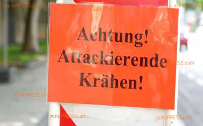 Achtung, aggressive Krähen! Sächsischer Landtag warnt jetzt auf Schildern vor hackenden Vögeln direkt am Parlament - bereits dieses Jahr wurden mehrere Angriffe verzeichnet, in den vergangenen Jahren kam es auch zu Verletzungen: Krähen sorgen sich um ihren Nachwuchs - und reagieren äußerst aggressiv... 