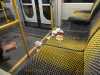 US-Bürger in Dresdens Altstadt niedergestochen, weil er Frauen in Straßenbahn helfen wollte: Ein tatverdächtiger Syrer nach Flucht auf E-Roller festgenommen, mutmaßlicher Messerstecher weiter flüchtig 