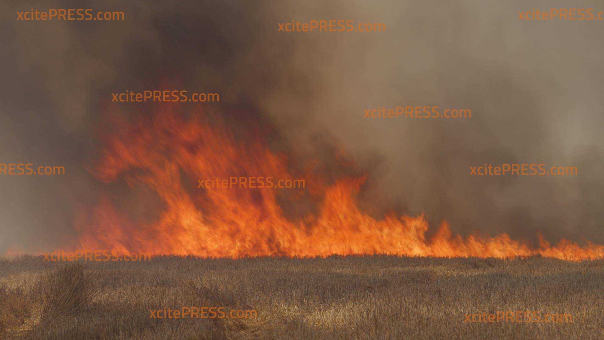 Feuerwalze fegt über Feld und fordert Feuerwehr heraus (DROHNENBILDER) - Rauchsäule kilometerweit zu sehen: Großer 