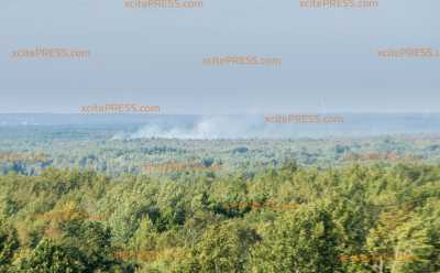260 Hektar Waldbrand - Größter Waldbrand bei Schwepnitz erneut außer Kontrolle: Wind facht die Flammen immer wieder an 260 Hektar Waldbrand - Größter Waldbrand bei Schwepnitz erneut außer Kontrolle: Wind facht die Flammen immer wieder an