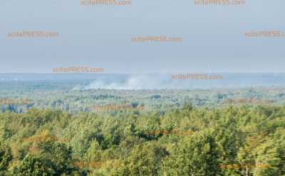 260 Hektar Waldbrand - Größter Waldbrand bei Schwepnitz erneut außer Kontrolle: Wind facht die Flammen immer wieder an