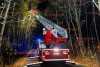 Kräftiger Herbstwind führt zu Feuerwehreinsatz: Teil von Baumkrone bricht ab und droht auf die Straße zu fallen