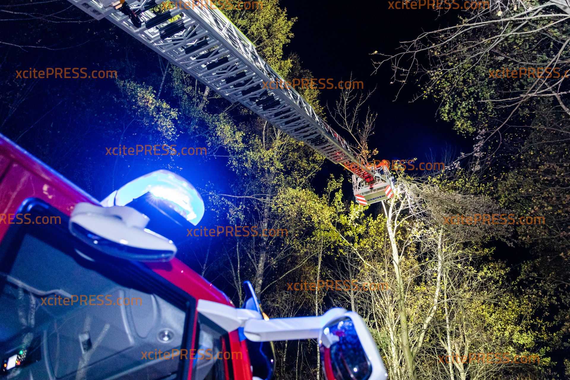 Kräftiger Herbstwind führt zu Feuerwehreinsatz: Teil von Baumkrone bricht ab und droht auf die Straße zu fallen