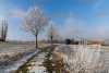 Eisnebel bringt traumhaftes Winterwetter: Reif verzaubert die Region in eine Eislandschaft