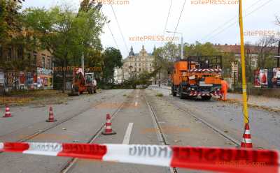 Unzählige Einsätze für die Feuerwehr: Sturmschäden auch in Landeshauptstadt