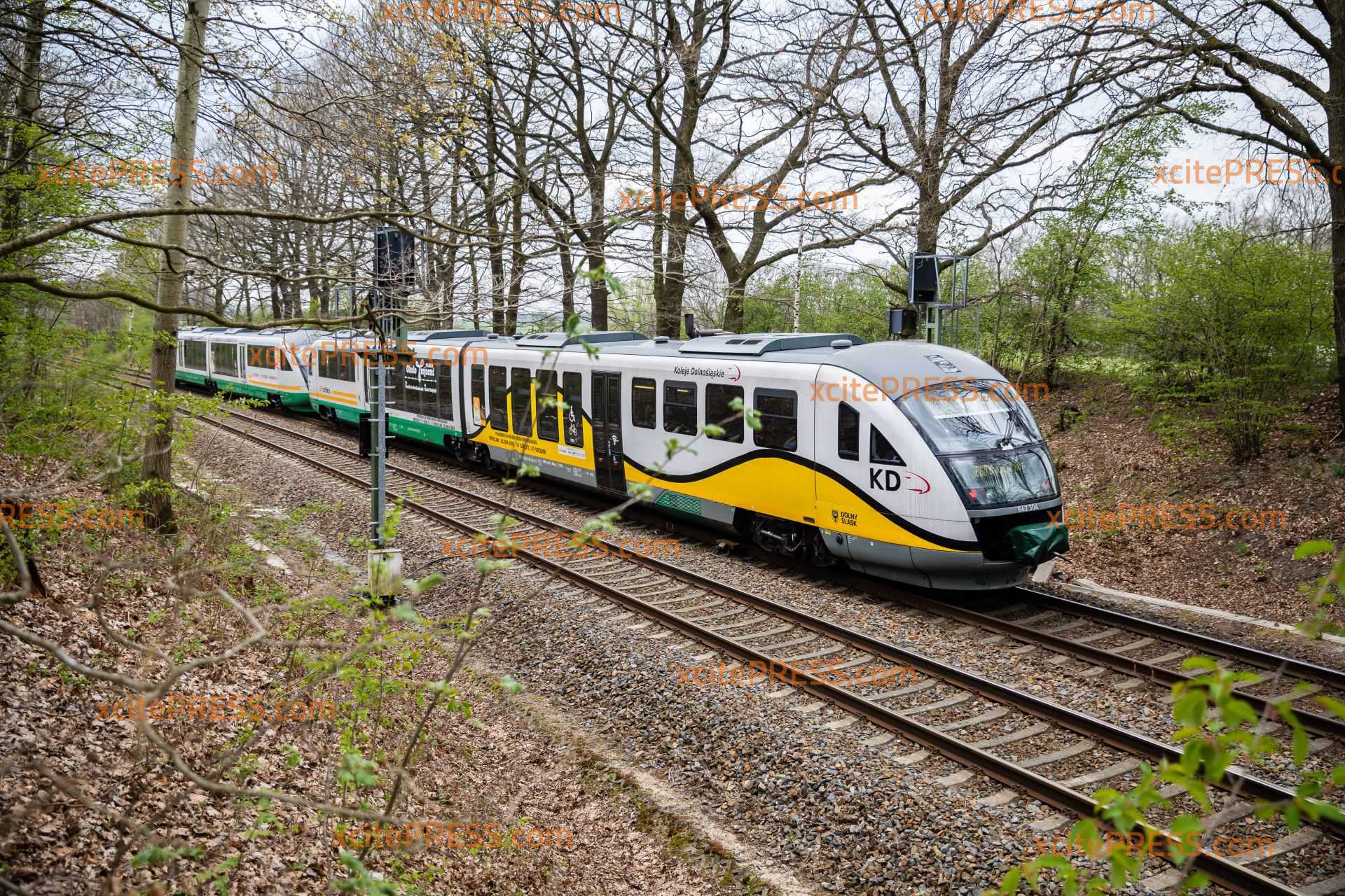 Sturm wirft Baum um, Zug kracht dagegen: Bahnverkehr kommt zeitweise zum Erliegen