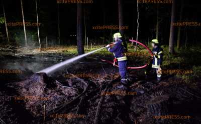 Schon wieder brennt der Kamenzer Stadtwald!: Schon der fünfte Waldbrand in diesem Monat!