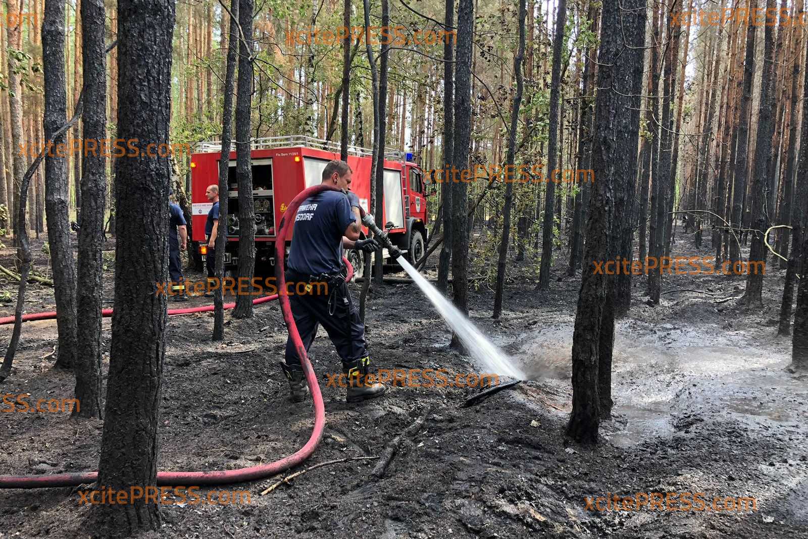 Feldbrand griff fast auf Häuser über! Kriminalpolizei nach Feldbrand vor Ort: Riesenfläche betroffen - Restlöscharbeiten laufen weiterhin