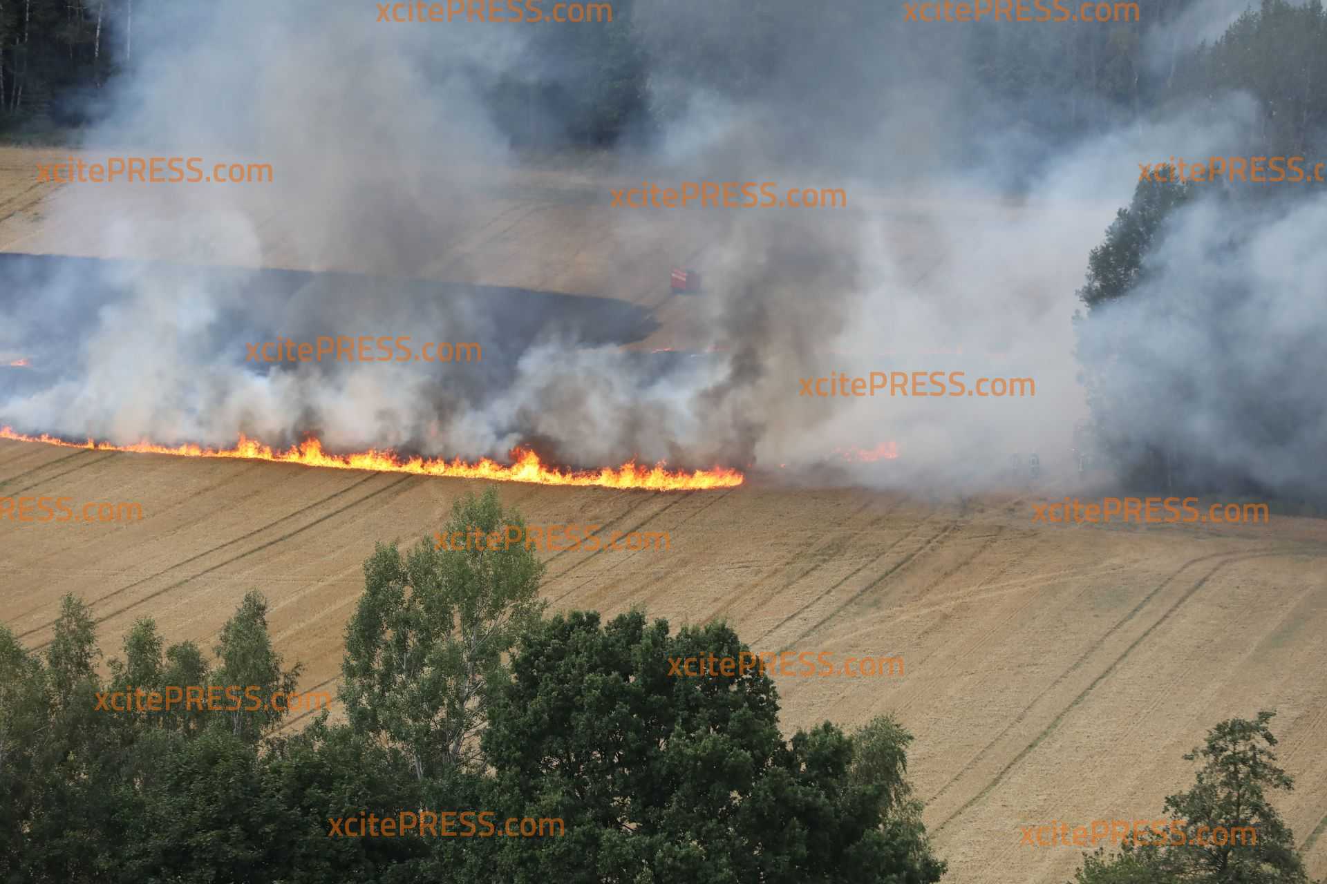 Schon wieder brennt ein Feld bei Bautzen: Feuerwehr verhindert Übergreifen auf Wald