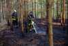 Waldboden gerät bei Skaska in Brand!: Waldbrandwachtürme entdecken das Feuer