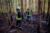 Waldboden gerät bei Skaska in Brand!: Waldbrandwachtürme entdecken das Feuer