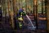 Waldboden gerät bei Skaska in Brand!: Waldbrandwachtürme entdecken das Feuer