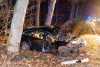 Tragischer Unfall - PKW kollidiert mit Baum: Fahrer (36) verstirbt noch an Unfallstelle