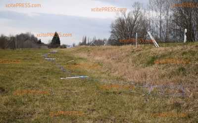 Nach tagelanger Arbeit des THW: Wildschweinbarrieren umgerissen: Großes Feld von Tier oder Mensch zerstört