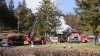 Wohnhaus brennt vollkommen nieder - Brand greift auch auf Wald über: Feuer möglicherweise bei Renovierungsarbeiten entstanden
