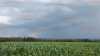 Zahlreiche Gewitter ziehen auf und beenden die Sommerhitze: Zumindest heute gibt es somit eine Abkühlung