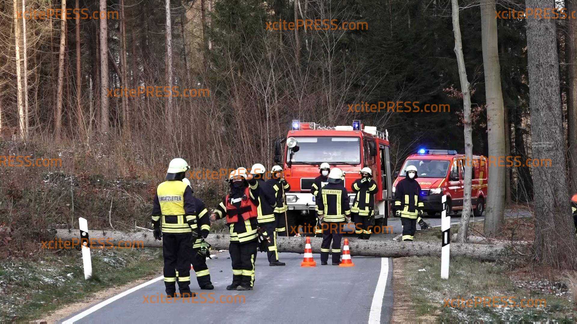 Hermine zieht auch über Ostsachsen hinweg: Bäume fallen auf Straßen und Häuser: Feuerwehr im Dauereinsatz