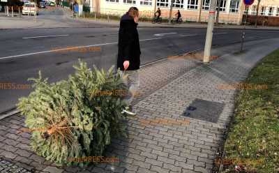 Wohin mit dem ausgedienten Weihnachtsbaum?!: Container bereits kurz nach Jahreswechsel gut gefüllt