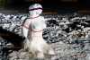 Fifty Shades of Schnee: Fesselspiele im Schnee - Schneekünstler sind wieder aktiv: Skulptur steht wieder in Zusammenhang mit Corona