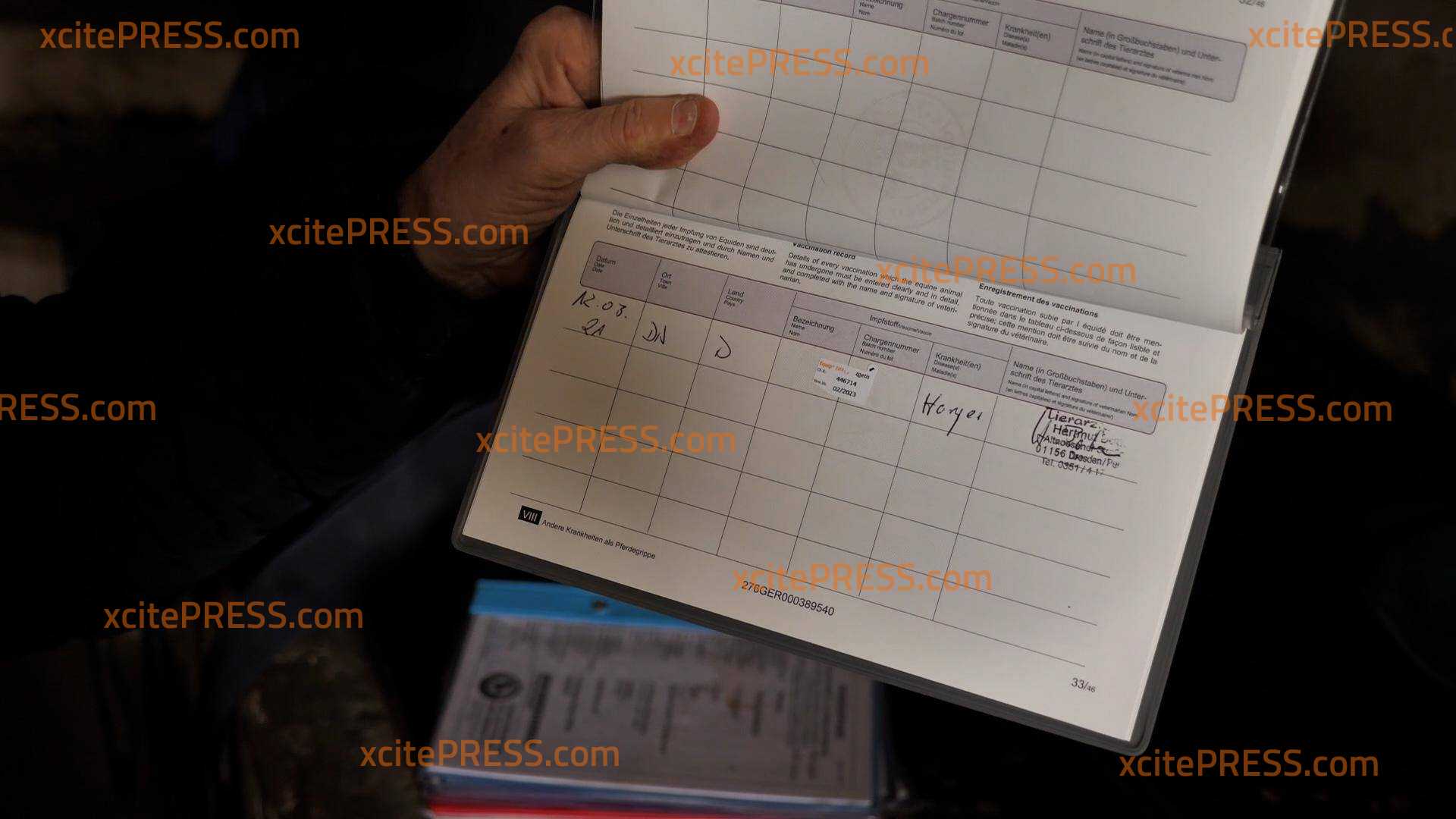 Alptraum für den Reitsport! Gefährlicher Herpes-Virus aus Valencia tötet Pferde: Schnelltest durch die Nase und Impfstoff-Knappheit 