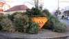 Weihnachtsbaum ausgedient: Wohin mit dem Christbaum nach dem Fest?: Container nach dem Jahreswechsel reichlich gefüllt