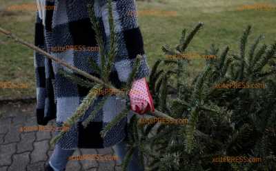 Weihnachtsbaum ausgedient: Wohin mit dem Christbaum nach dem Fest?: Container nach dem Jahreswechsel reichlich gefüllt