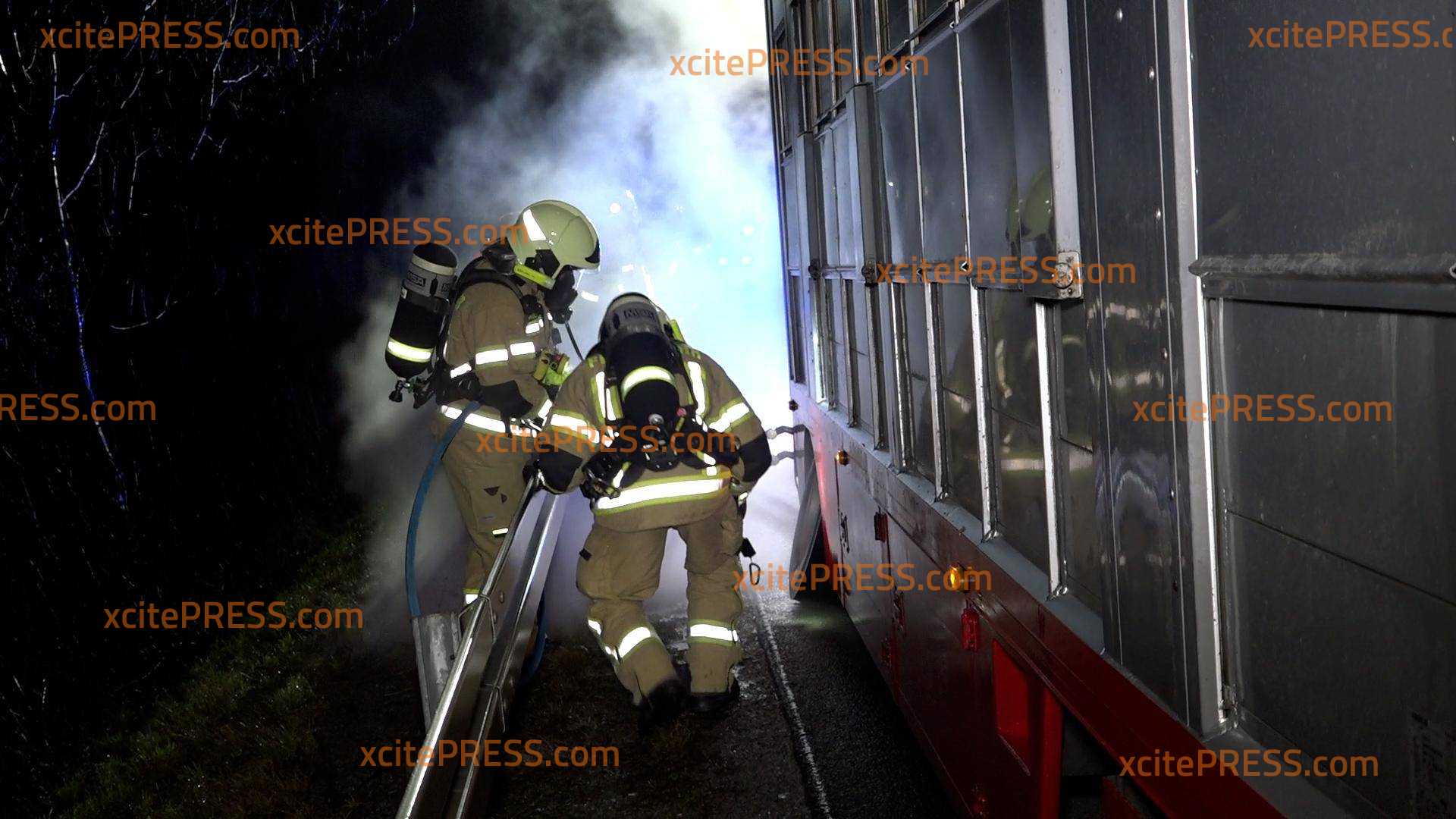 Schwein gehabt! Schweinetransport fängt auf der Autobahn Feuer: Feuerwehr rückt an und rettet den Tieren das Leben