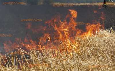 Stoppelfeld in Flammen! Feuerwehrleute müssen in unerträglicher Hitze löschen: Landwirte halten zusammen und helfen sich beim Löschen gegenseitig